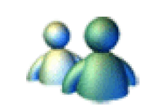 MSN icon